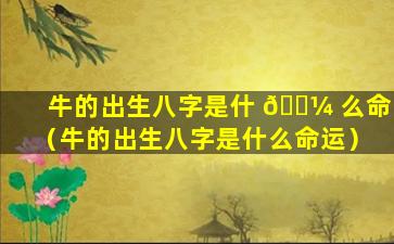 牛的出生八字是什 🌼 么命（牛的出生八字是什么命运）